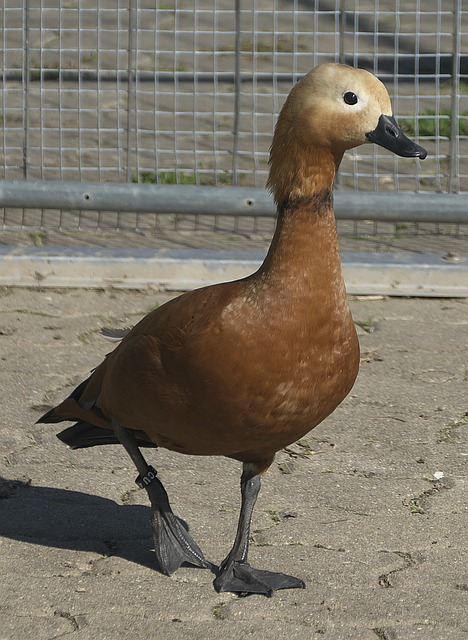 至关重要