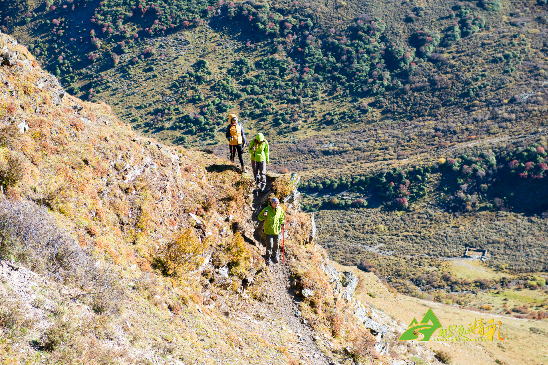 强队在重大 强队在重大