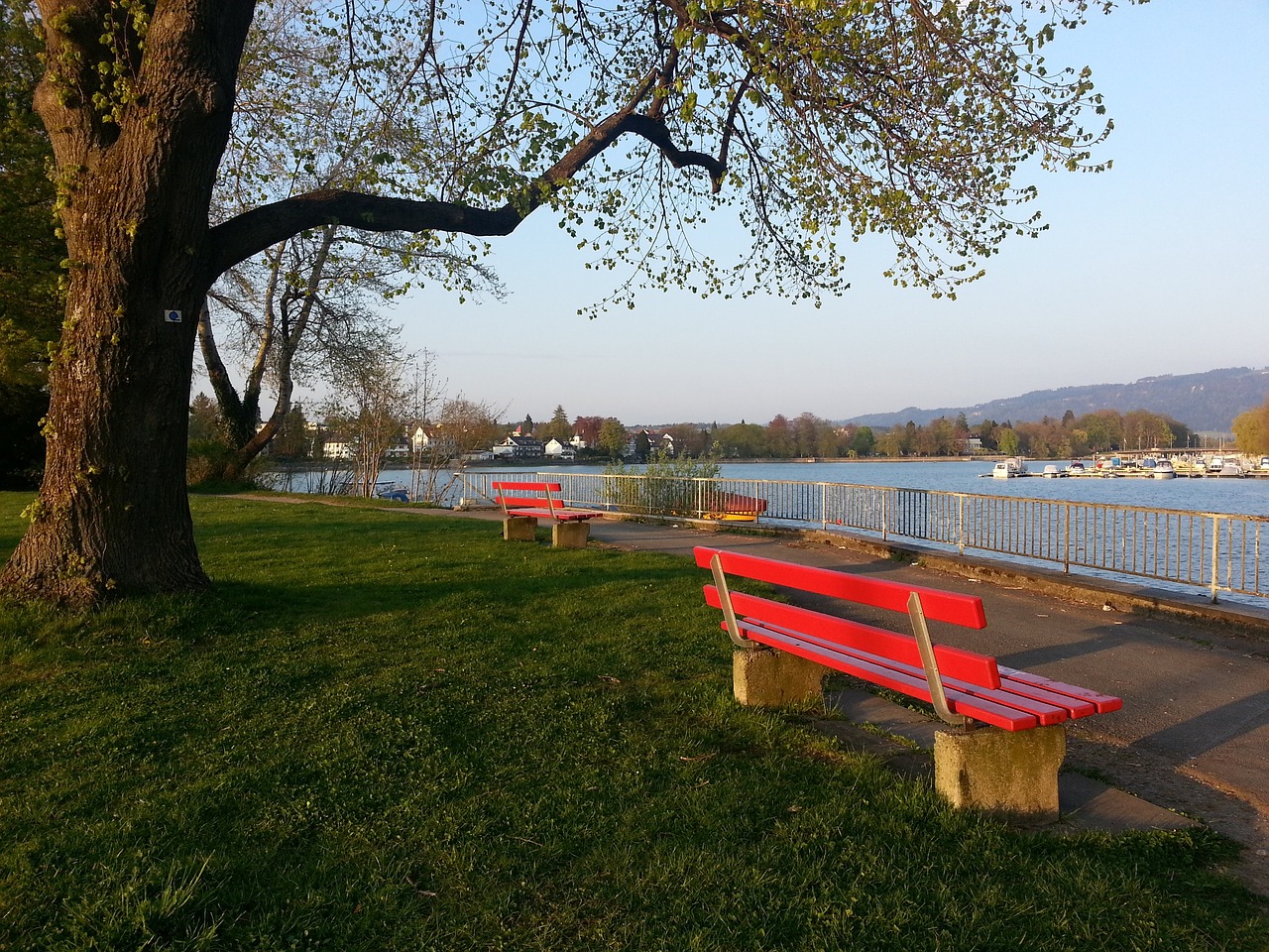 激励和鼓舞 激励和鼓舞