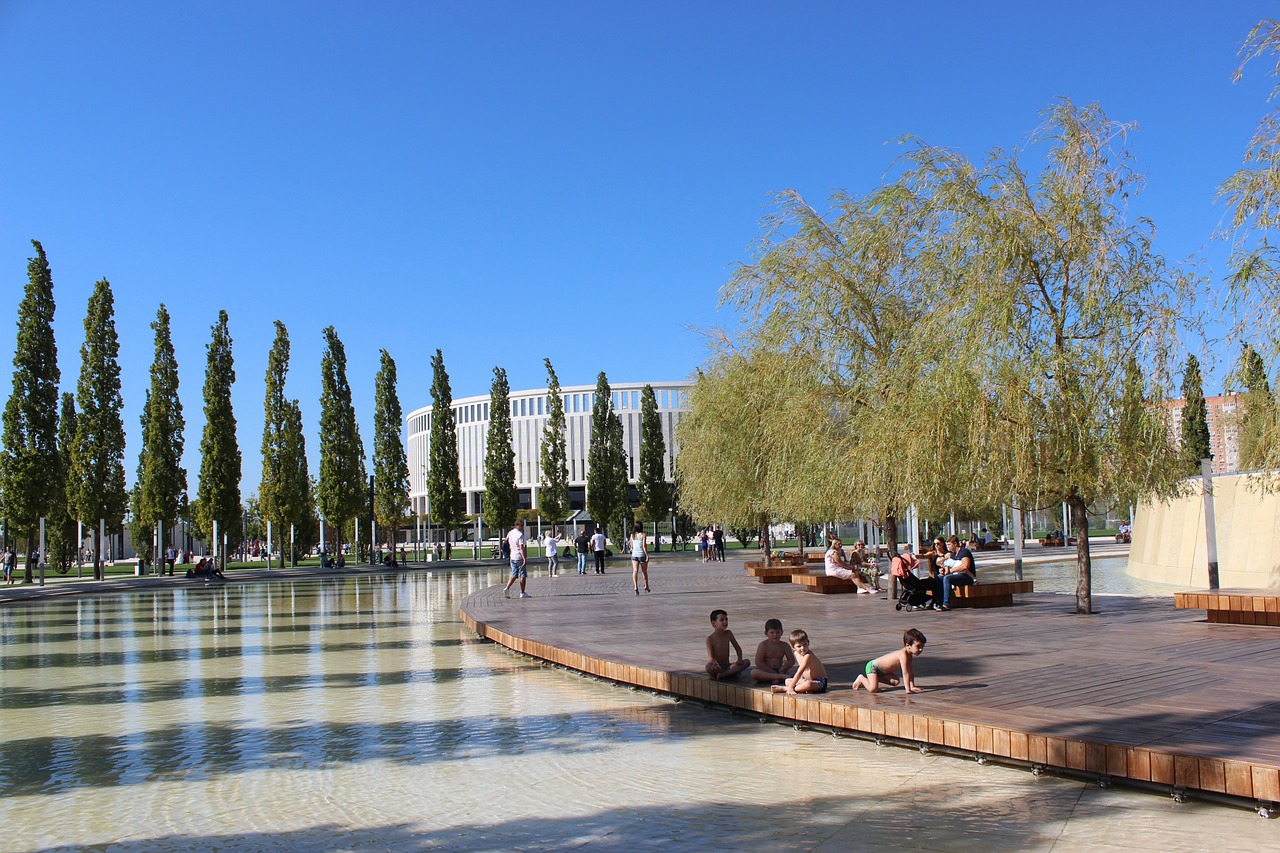 中国的专业 中国的专业