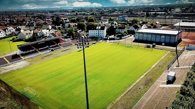 揭示了一个 揭示了一个